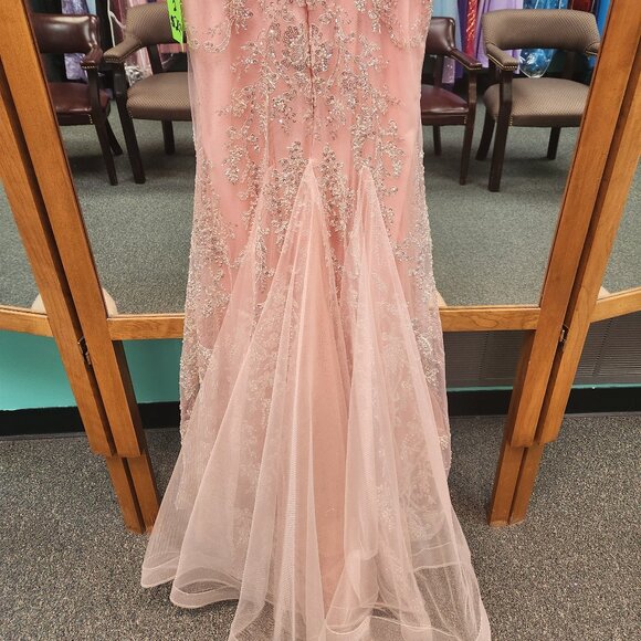 Colette CL2051 Size 2 Blush/Silver Prom/Evening Dress - Picture 7 of 7